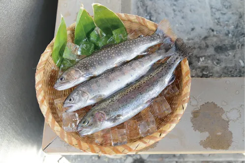 鮮魚味比べセット