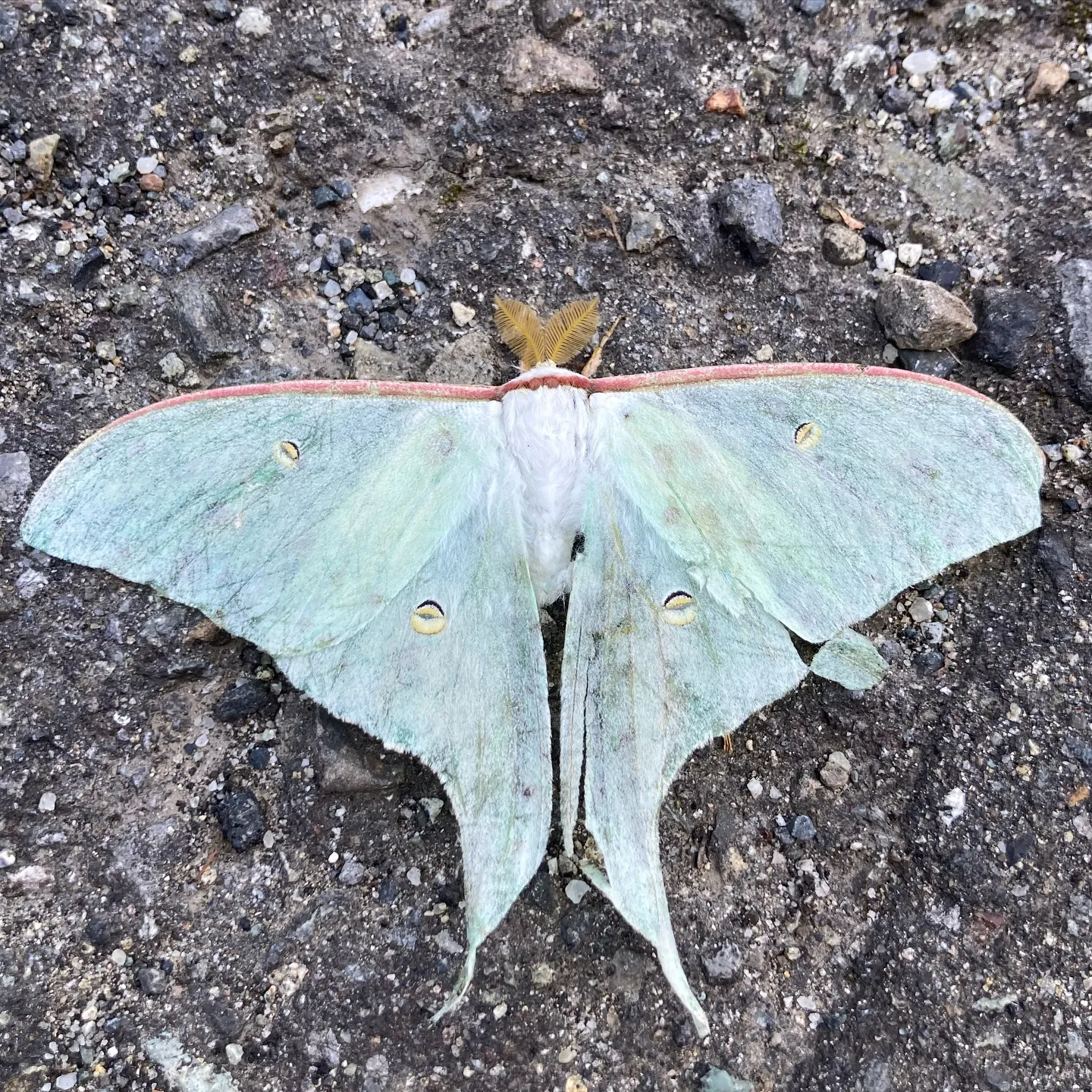 #三依渓流つり場オフィシャルブログ「#二代目のつぶやき...