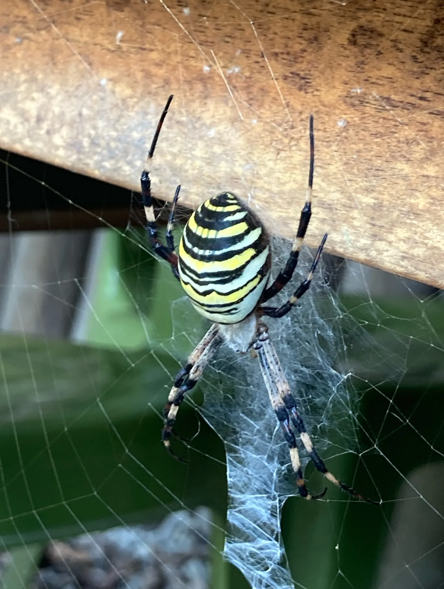 #三依渓流つり場オフィシャルブログ「#二代目のつぶやき...