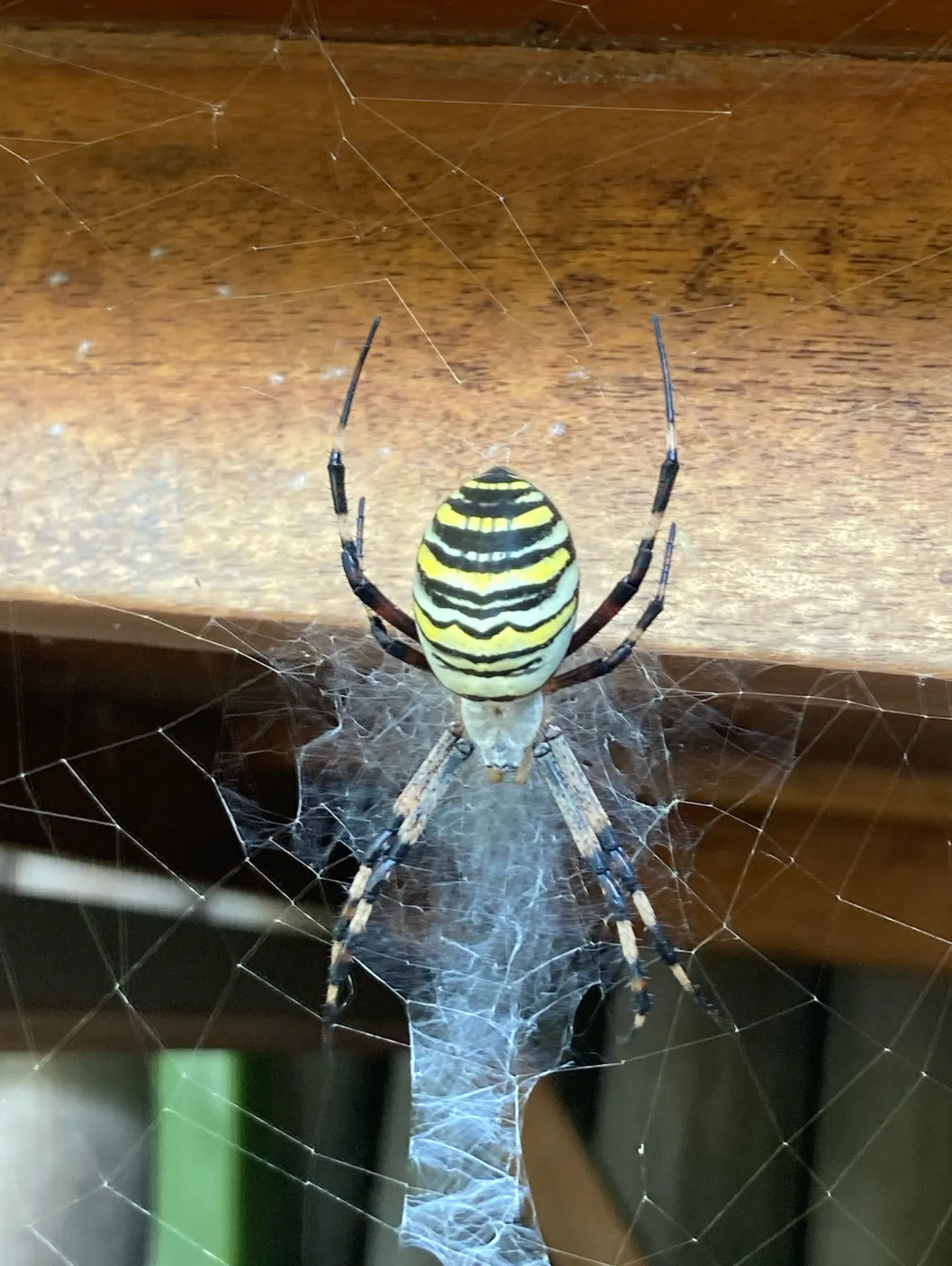 #三依渓流つり場オフィシャルブログ「#二代目のつぶやき...