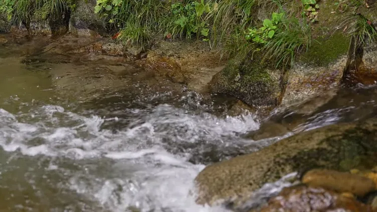 #三依渓流つり場オフィシャルブログ「#二代目のつぶやき...