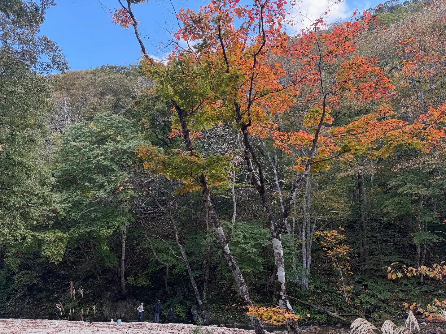 #三依渓流つり場オフィシャルブログ「#二代目のつぶやき...