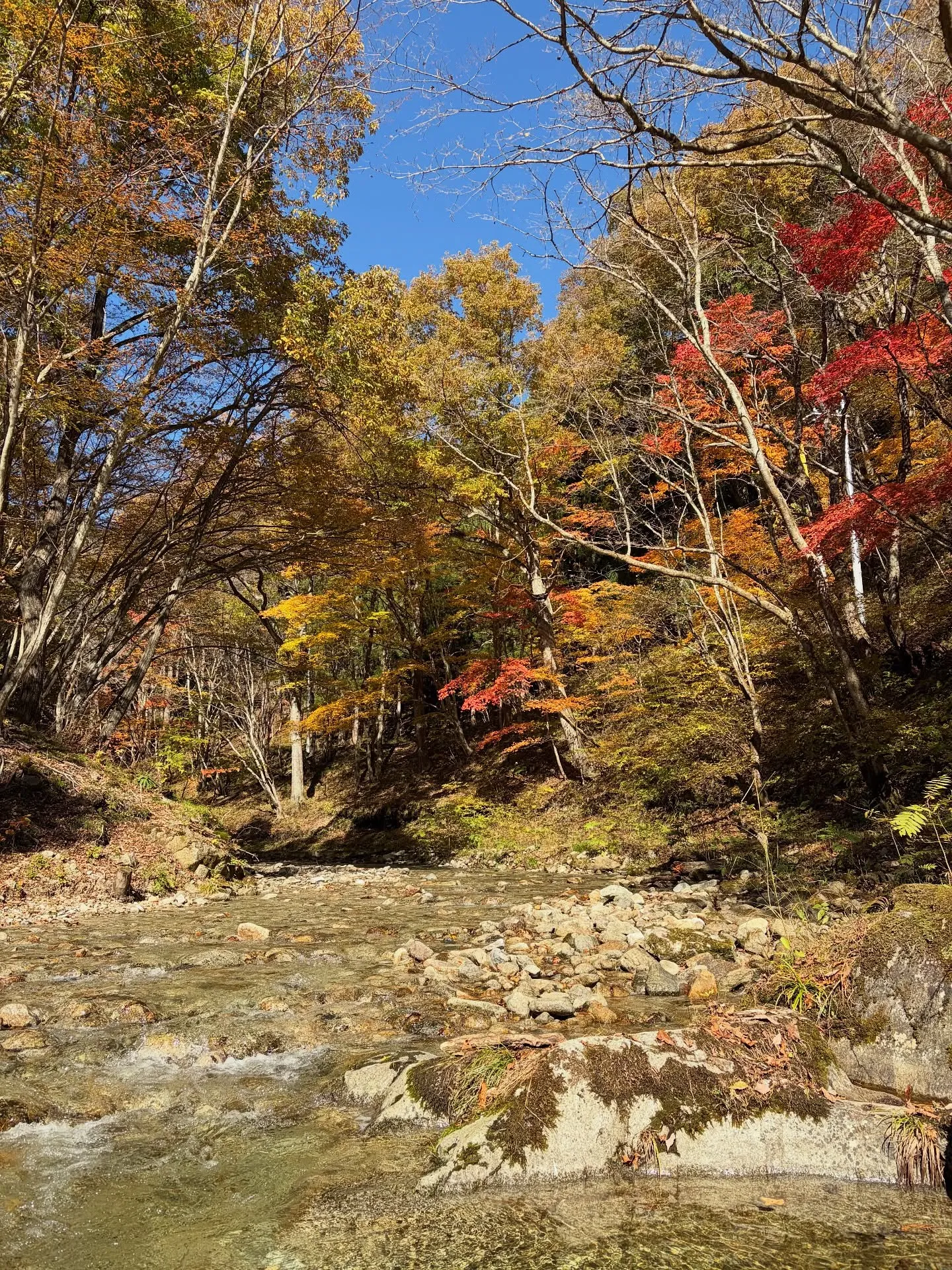 #三依渓流つり場オフィシャルブログ「#二代目のつぶやき...