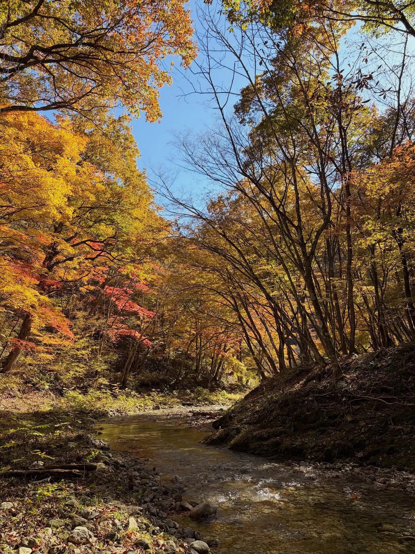 #三依渓流つり場オフィシャルブログ「#二代目のつぶやき...