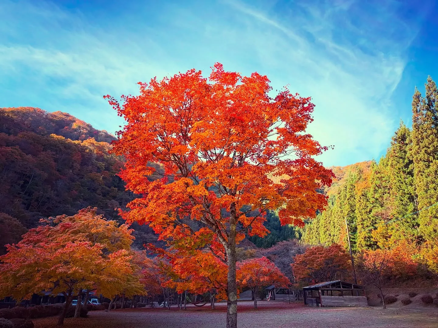 #三依渓流つり場オフィシャルブログ「#二代目のつぶやき...