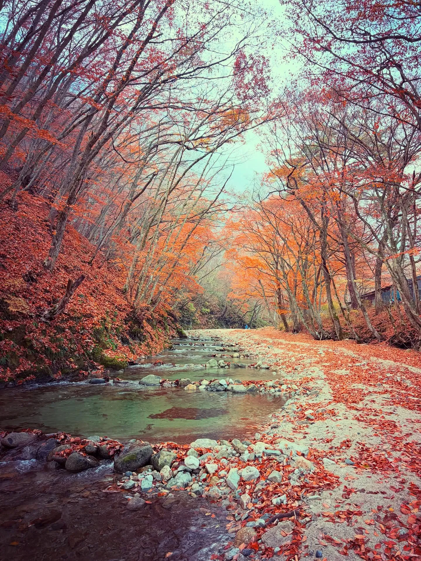 #三依渓流つり場オフィシャルブログ「#二代目のつぶやき...