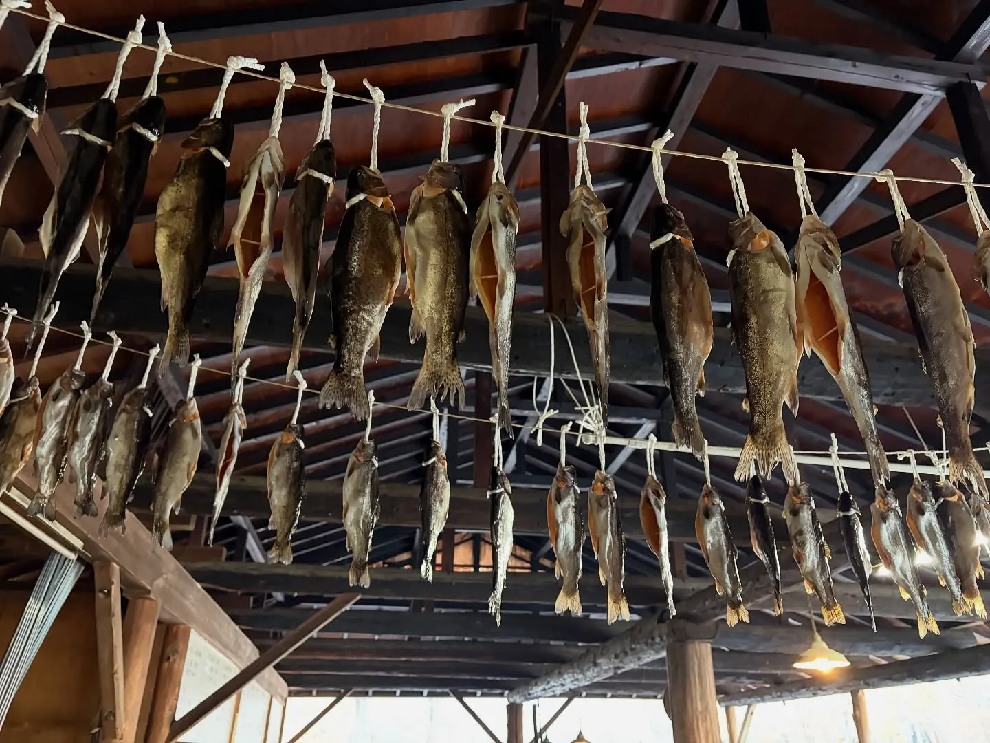 #三依渓流つり場オフィシャルブログ「#二代目のつぶやき」を更...