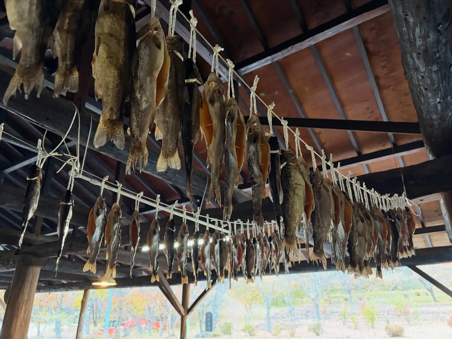 #三依渓流つり場オフィシャルブログ「#二代目のつぶやき」を更...