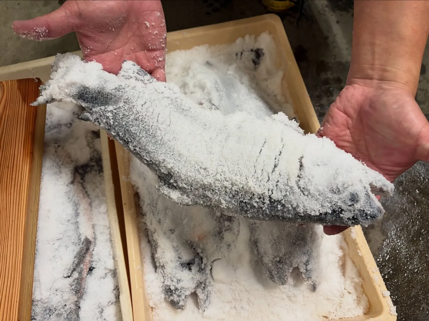 #三依渓流つり場オフィシャルブログ「#二代目のつぶやき」を更...