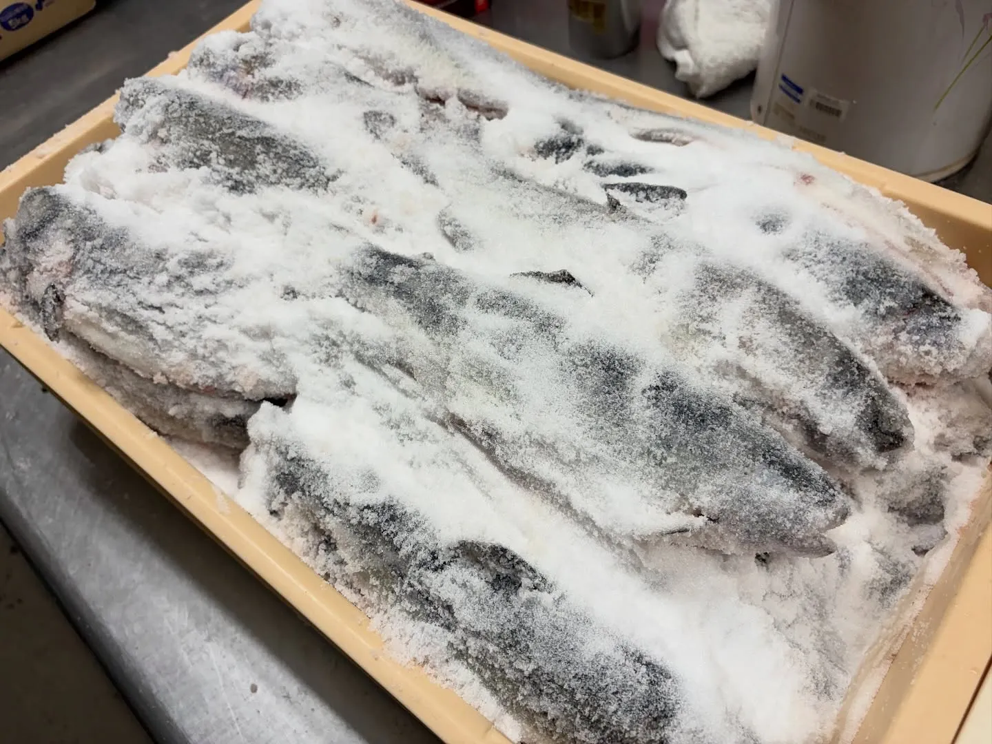 #三依渓流つり場オフィシャルブログ「#二代目のつぶやき」を更...