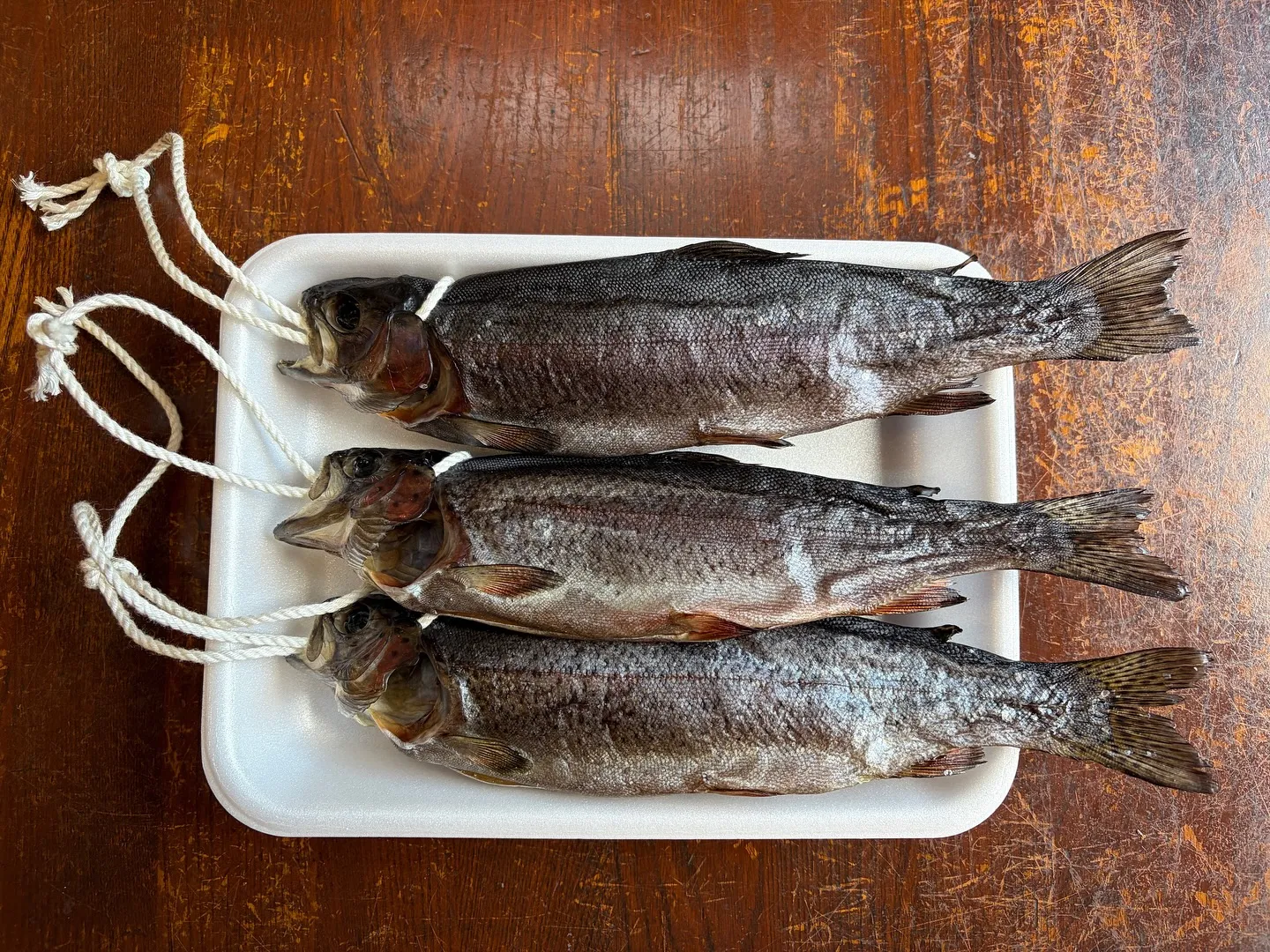 #三依渓流つり場オフィシャルブログ「#二代目のつぶやき」を更...