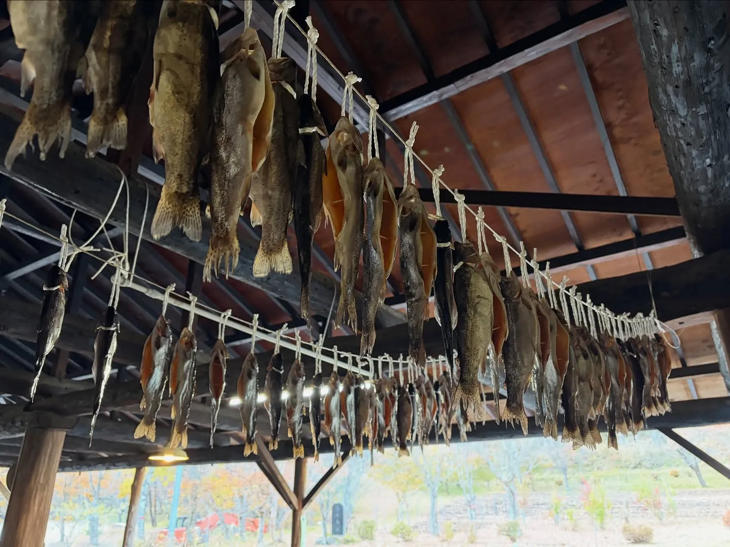 #三依渓流つり場オフィシャルブログ「#二代目のつぶやき」を更...