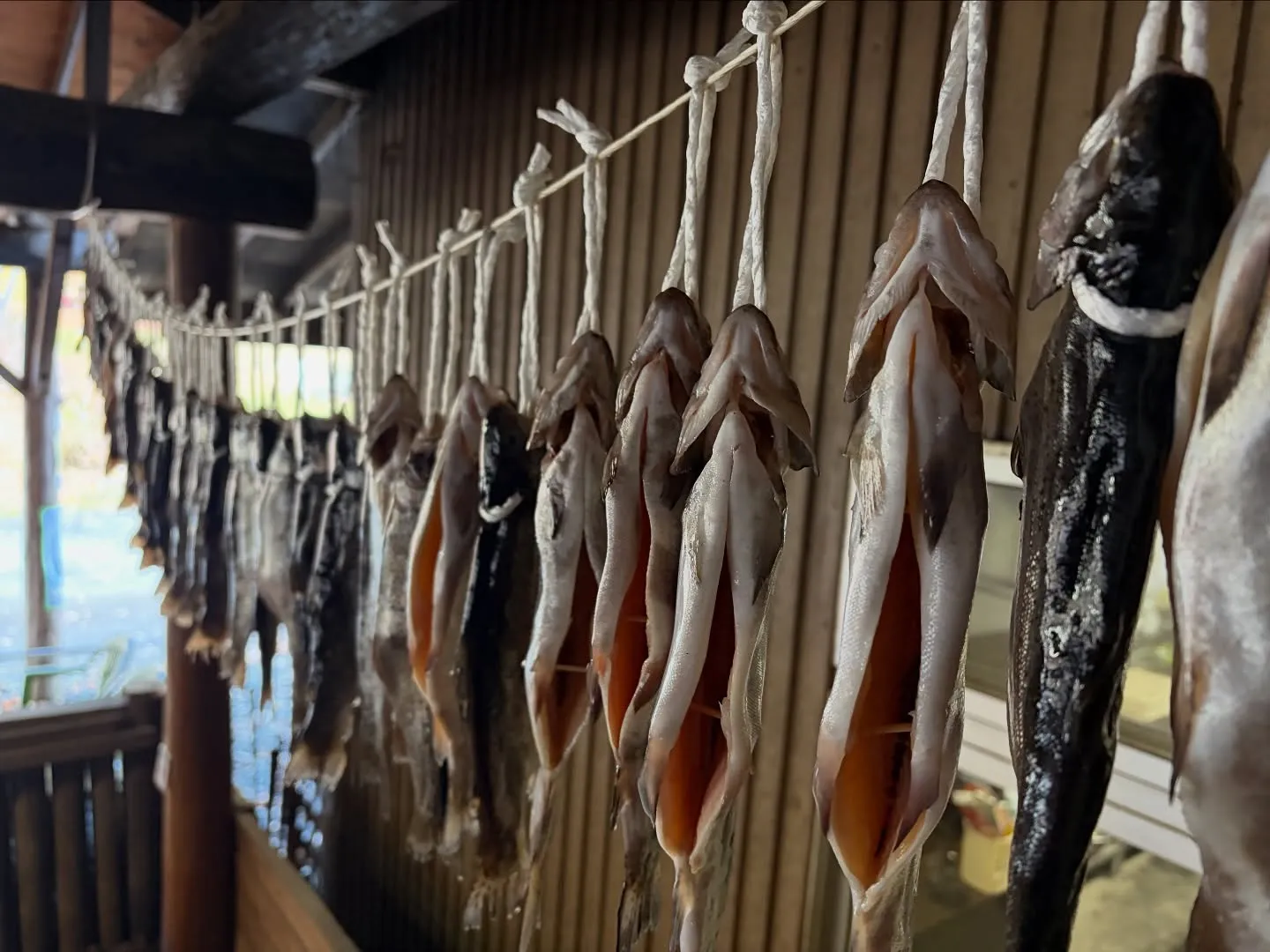 #三依渓流つり場オフィシャルブログ「#二代目のつぶやき」を更...