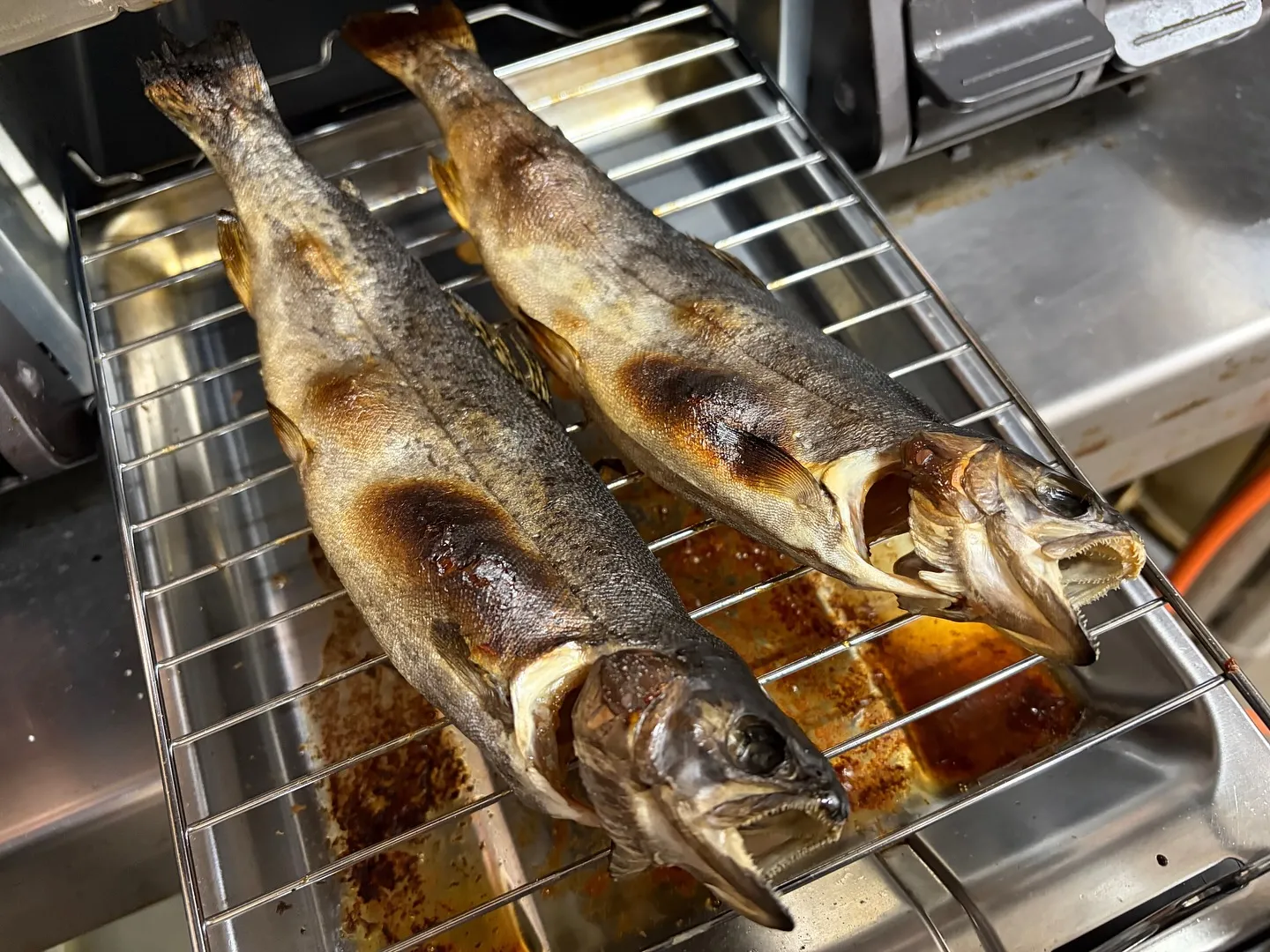 #三依渓流つり場オフィシャルブログ「#二代目のつぶやき」を更...