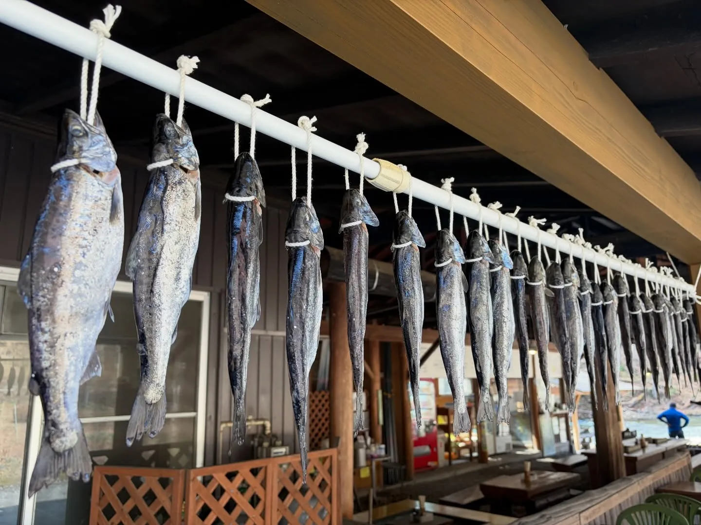 三依渓流つり場オフィシャルブログ「二代目のつぶやき」を...