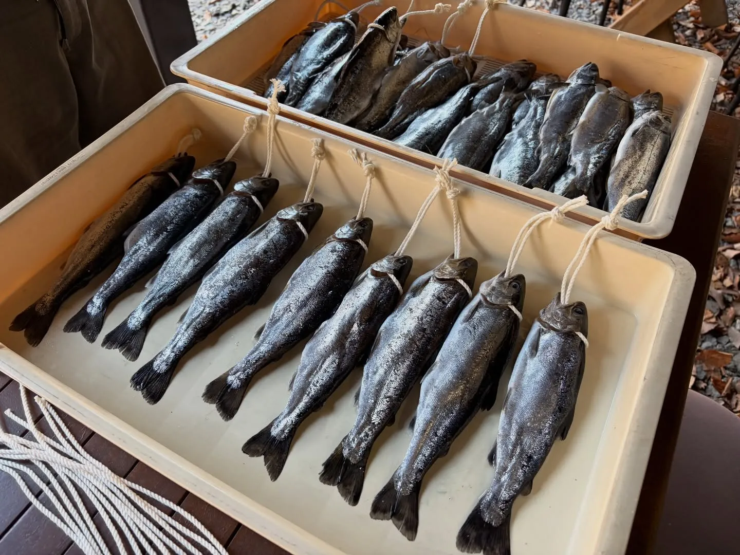 三依渓流つり場オフィシャルブログ「二代目のつぶやき」を...