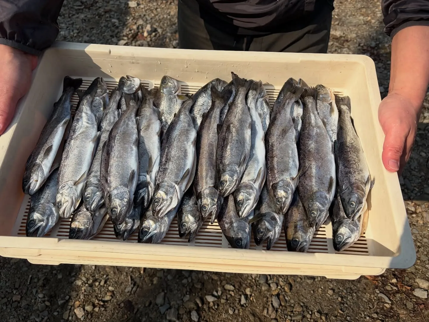 三依渓流つり場オフィシャルブログ「二代目のつぶやき」を...