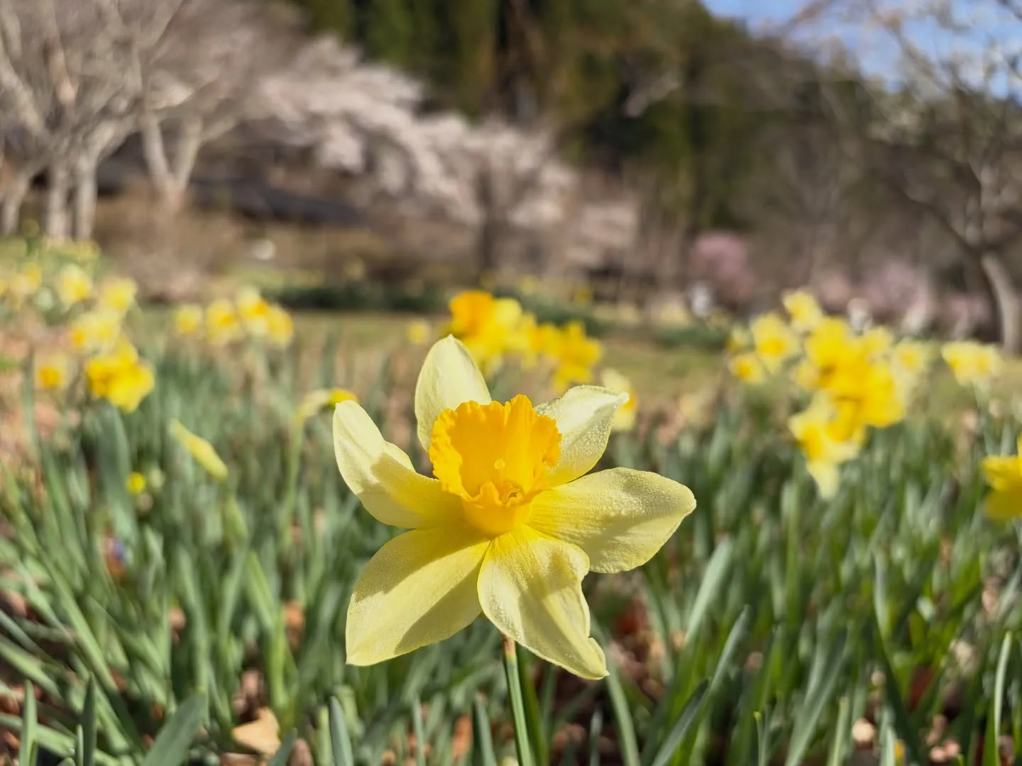 三依渓流つり場オフィシャルブログ「二代目のつぶやき」を...