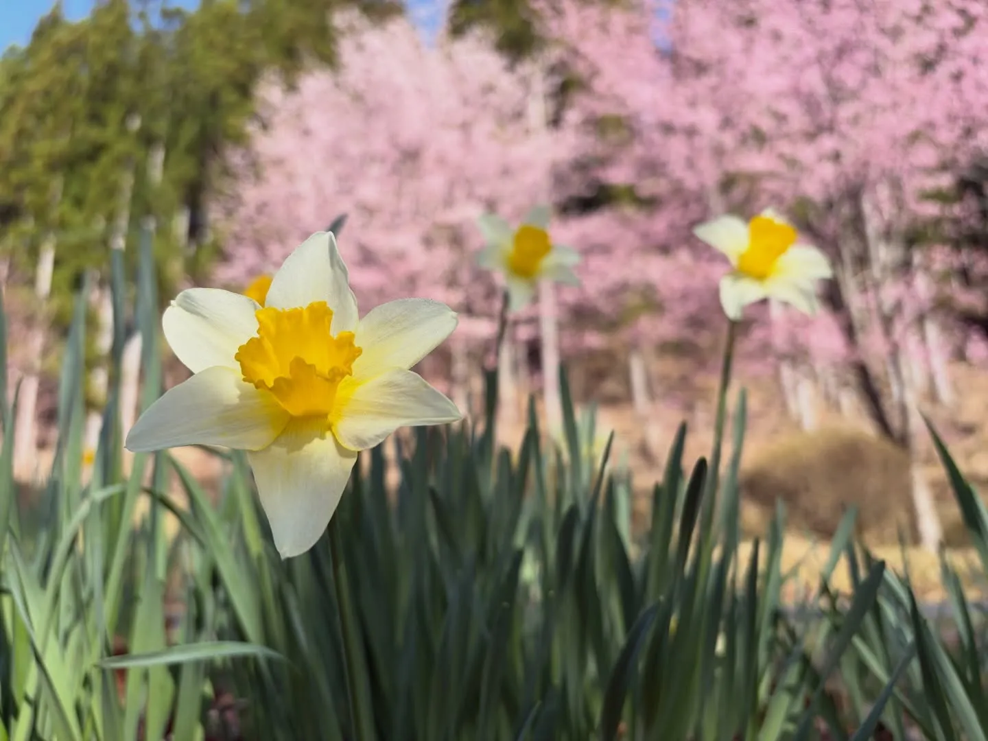三依渓流つり場オフィシャルブログ「二代目のつぶやき」を...