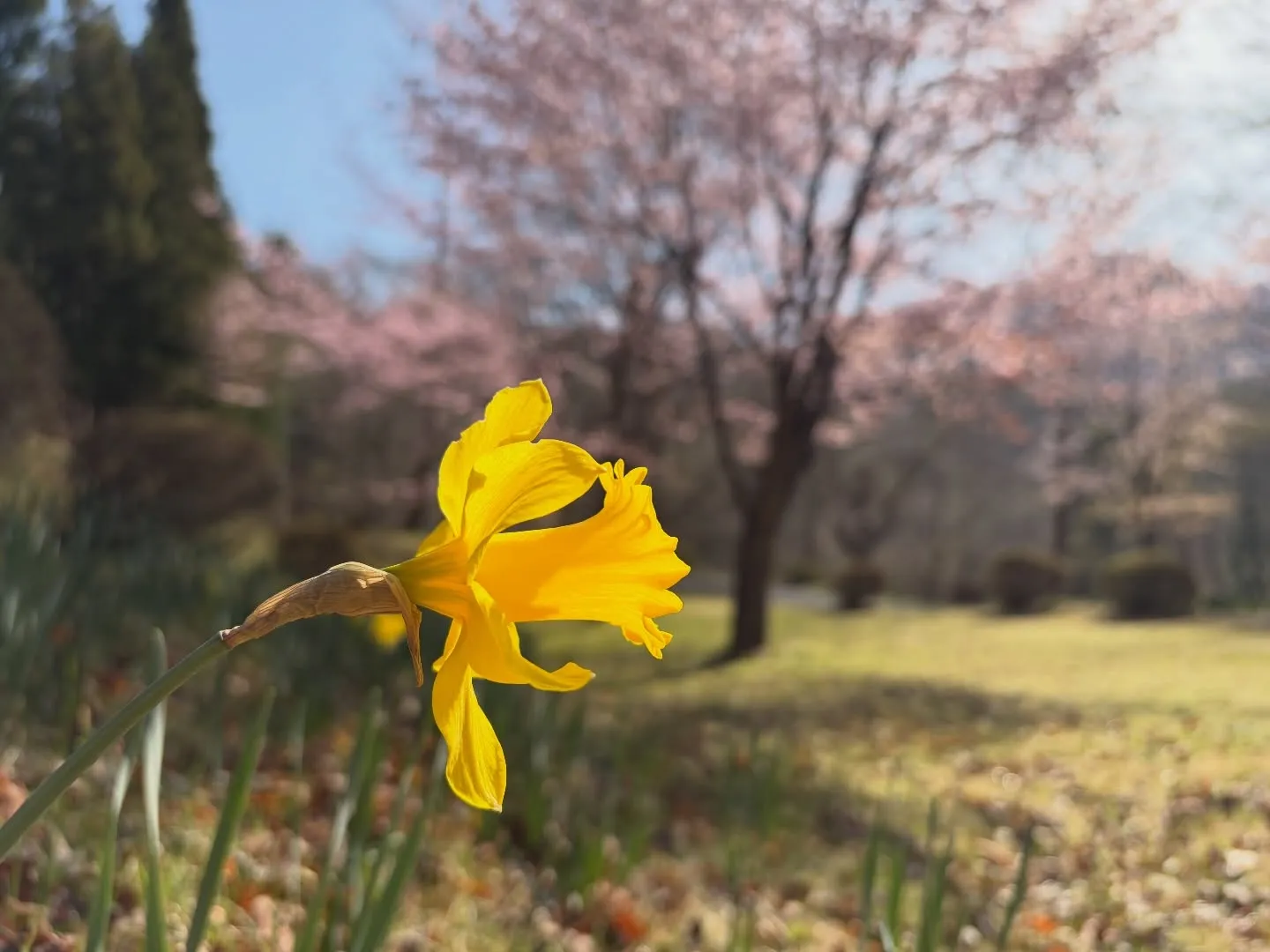三依渓流つり場オフィシャルブログ「二代目のつぶやき」を...