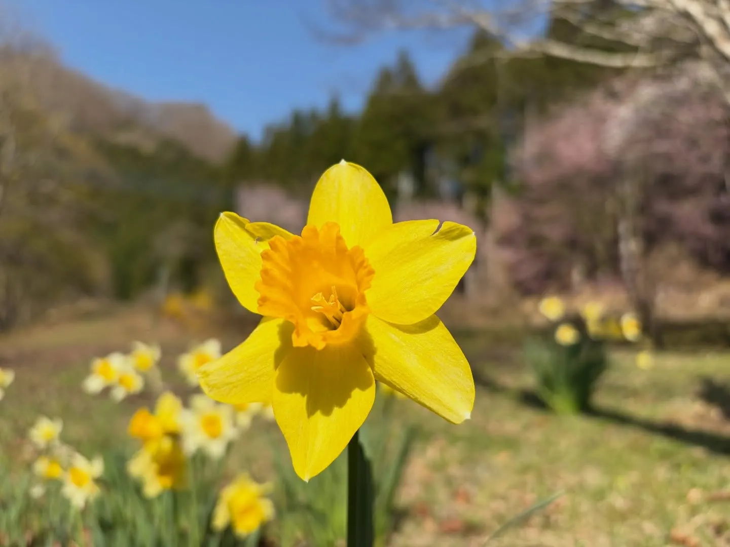 三依渓流つり場オフィシャルブログ「二代目のつぶやき」を...