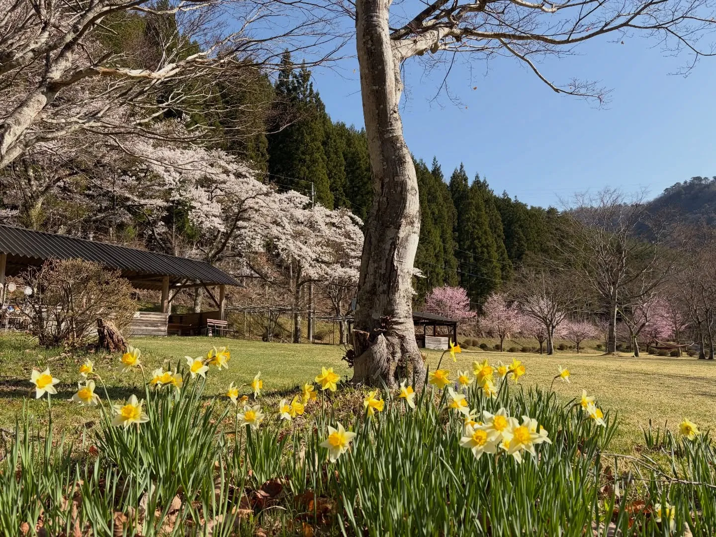 三依渓流つり場オフィシャルブログ「二代目のつぶやき」を...