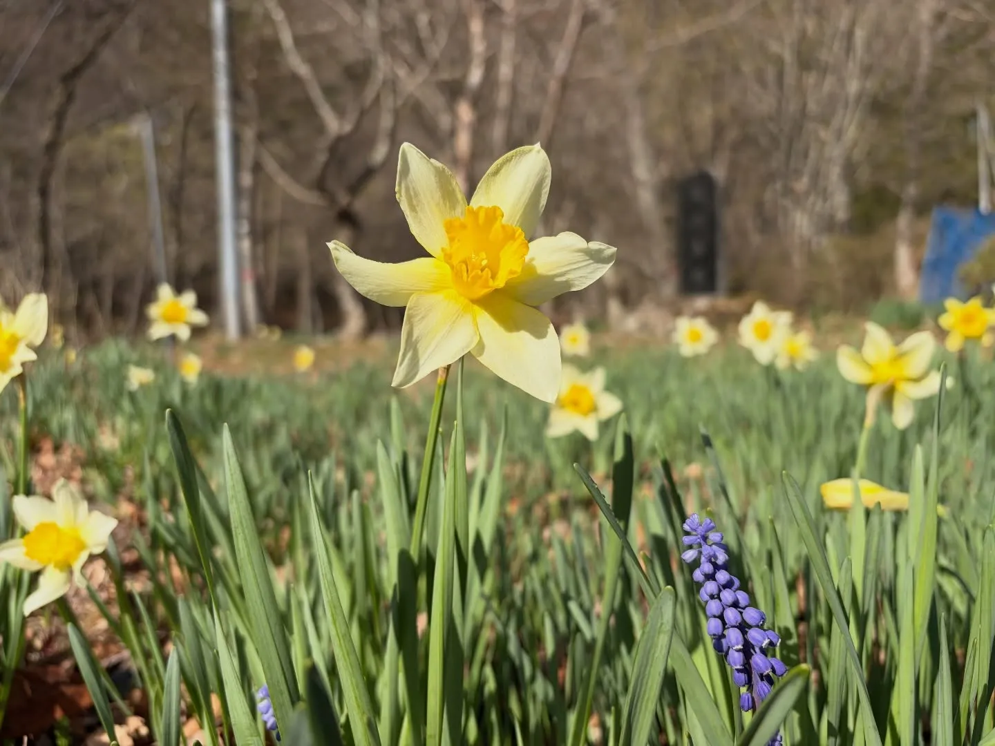 三依渓流つり場オフィシャルブログ「二代目のつぶやき」を...