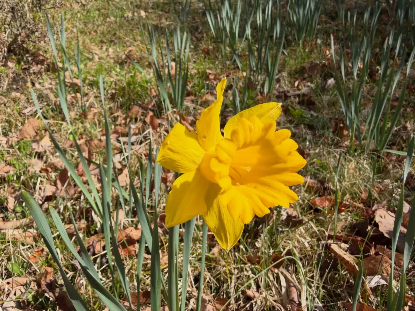 三依渓流つり場オフィシャルブログ「二代目のつぶやき」を...
