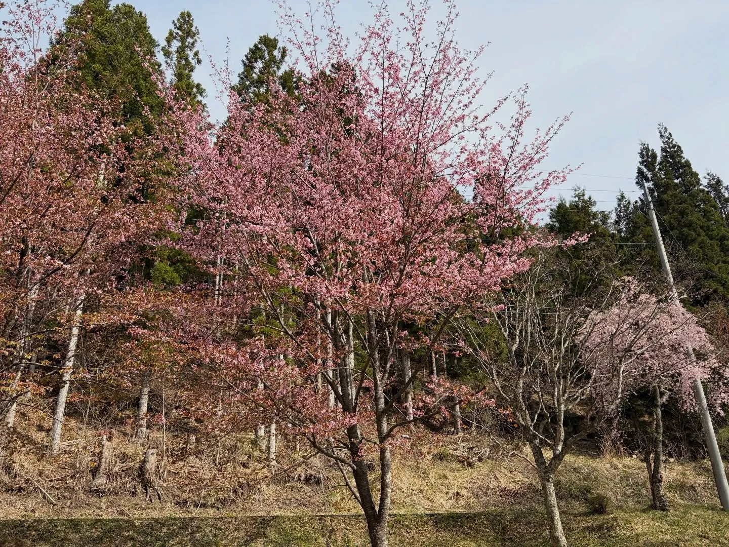 三依渓流つり場オフィシャルブログ「二代目のつぶやき」を...