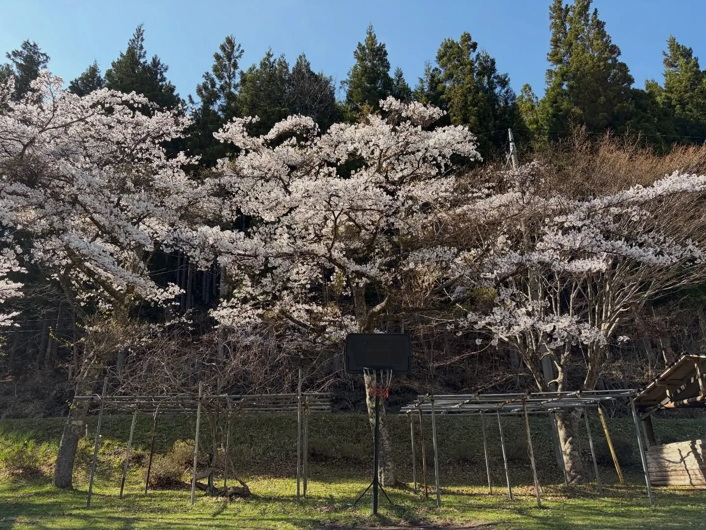 三依渓流つり場オフィシャルブログ「二代目のつぶやき」を...