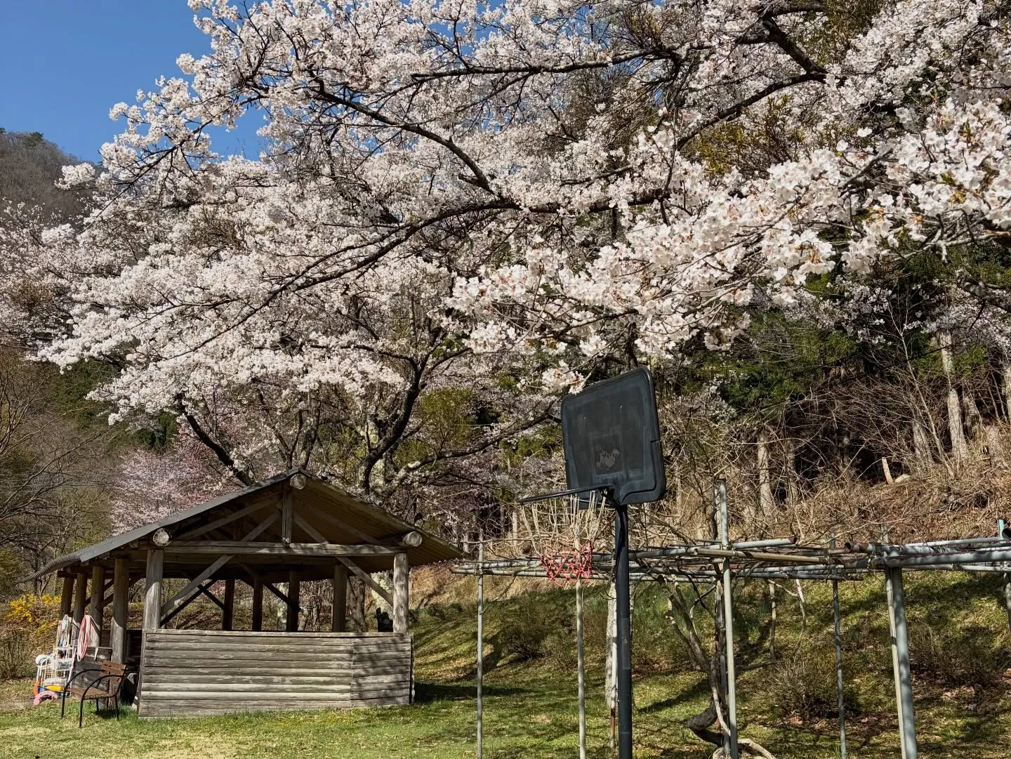 三依渓流つり場オフィシャルブログ「二代目のつぶやき」を...