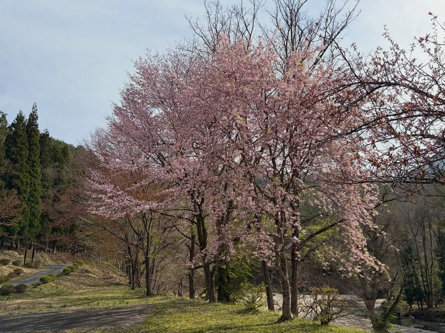 三依渓流つり場オフィシャルブログ「二代目のつぶやき」を...