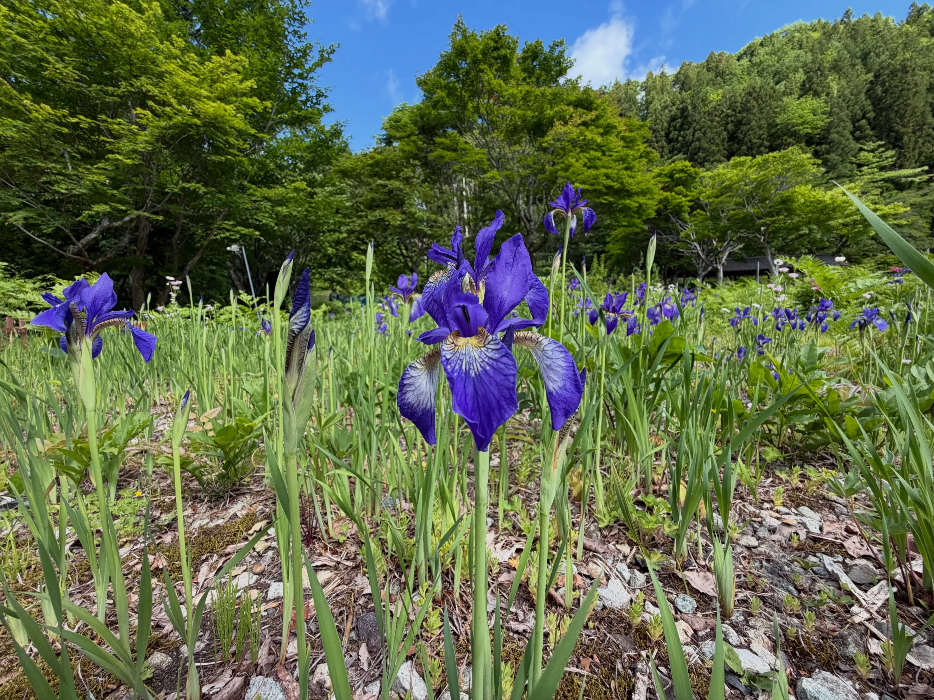 三依渓流つり場オフィシャルブログ「二代目のつぶやき」を...