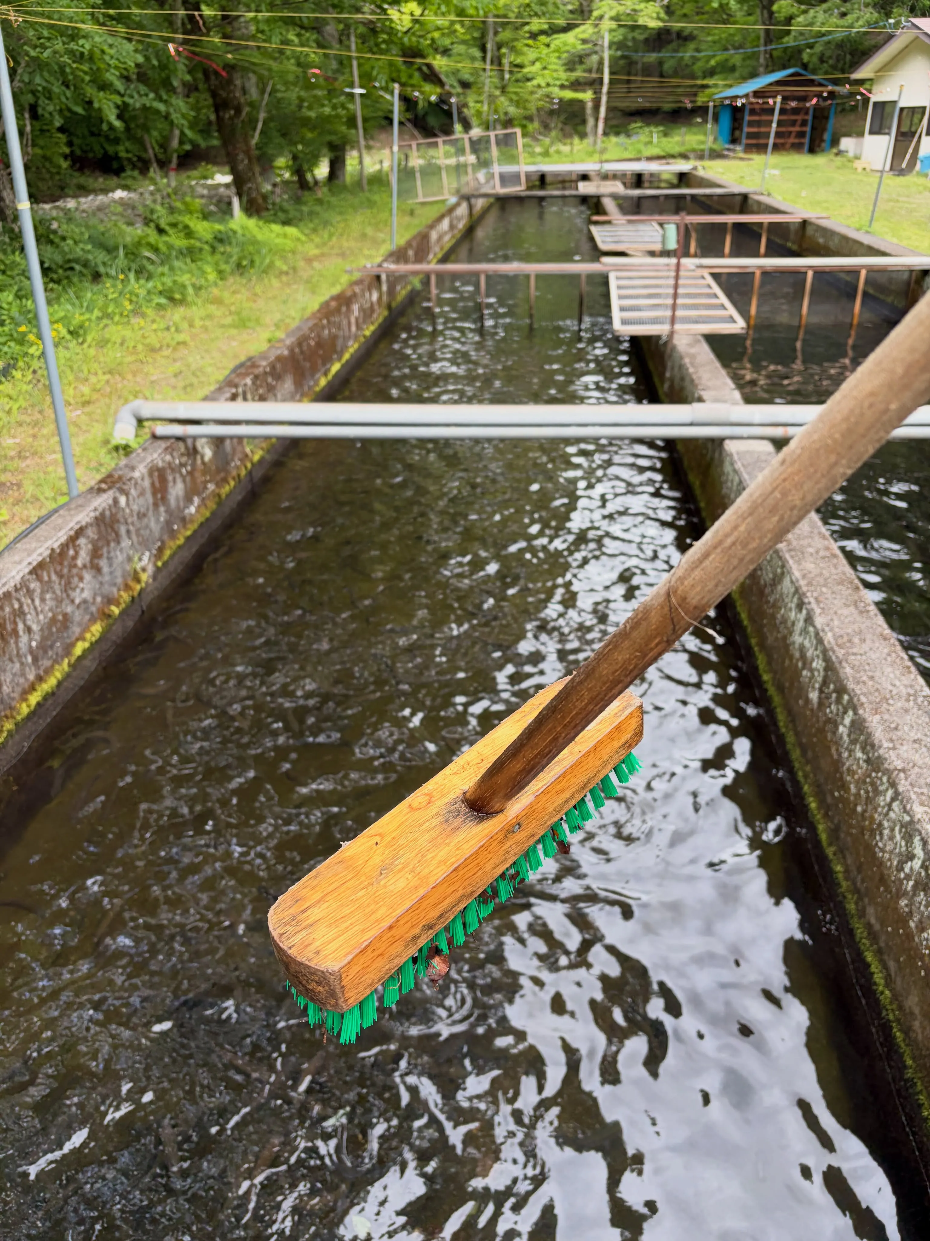 三依渓流つり場オフィシャルブログ「二代目のつぶやき」を...