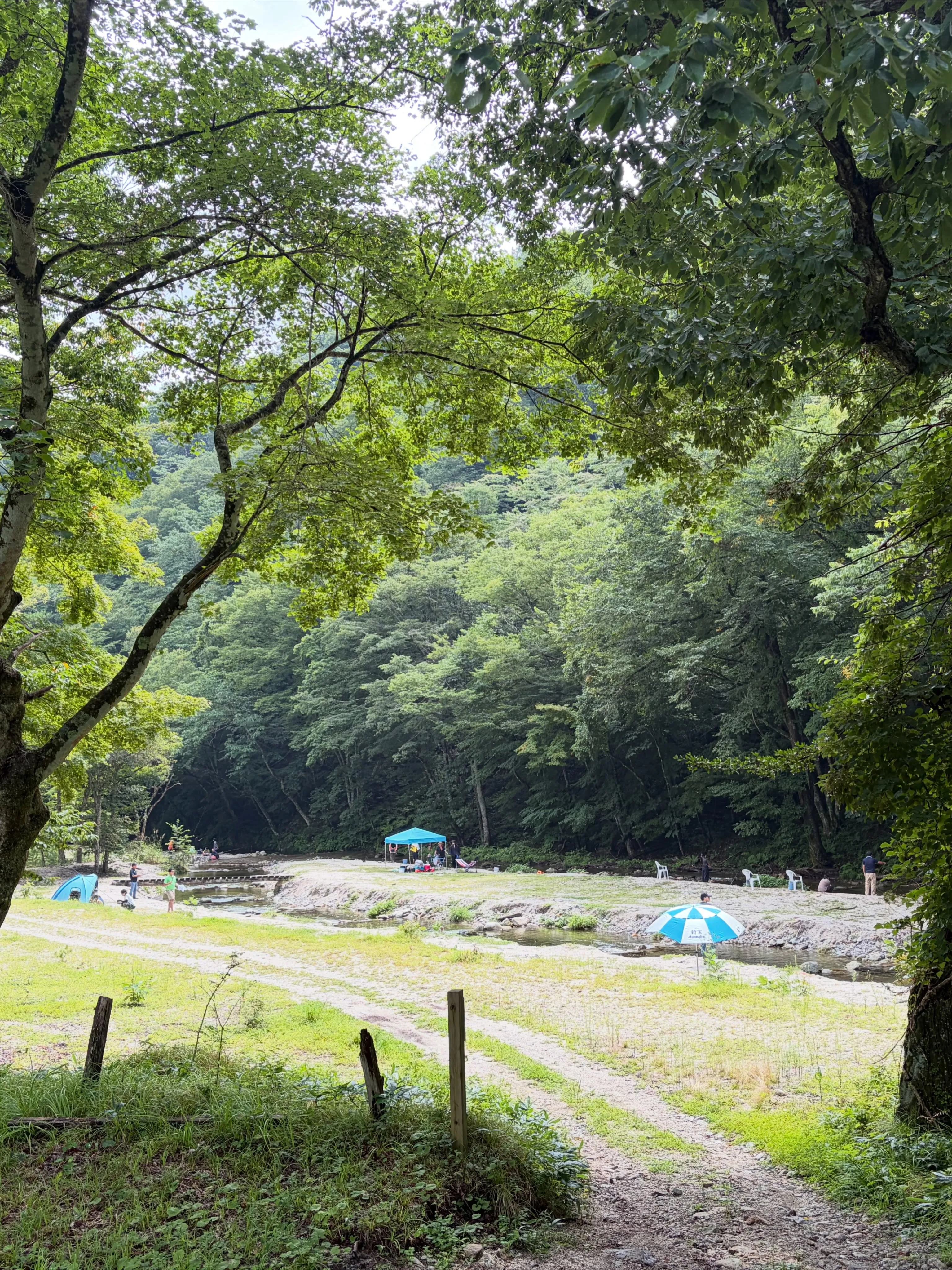 2026年8月22日