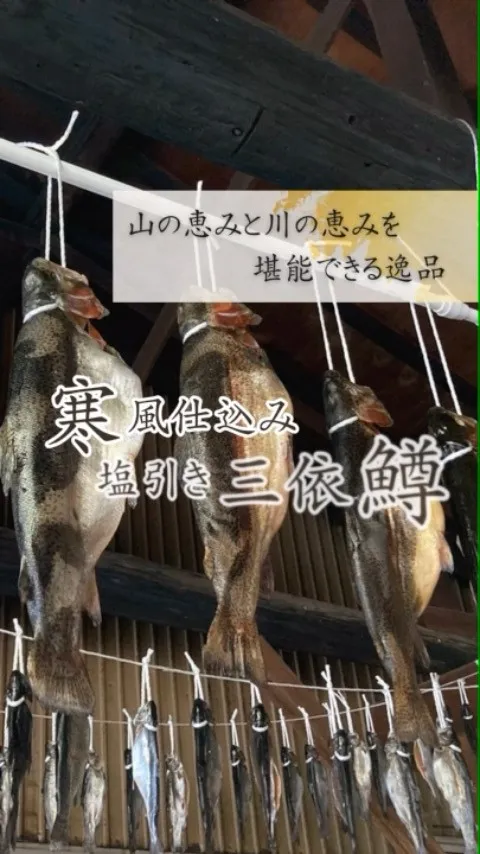 『寒風仕込み塩引き三依鱒』の販売を開始しております🐟