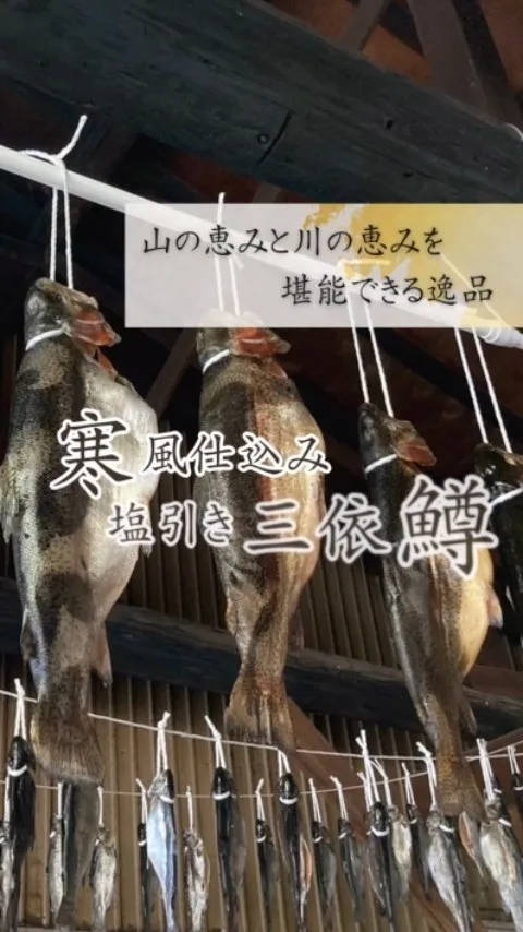 『寒風仕込み塩引き三依鱒』の販売を開始しております🐟