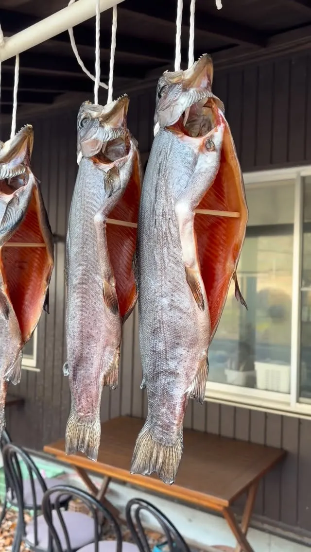 三依渓流つり場オフィシャルブログ「二代目のつぶやき」を更新し...