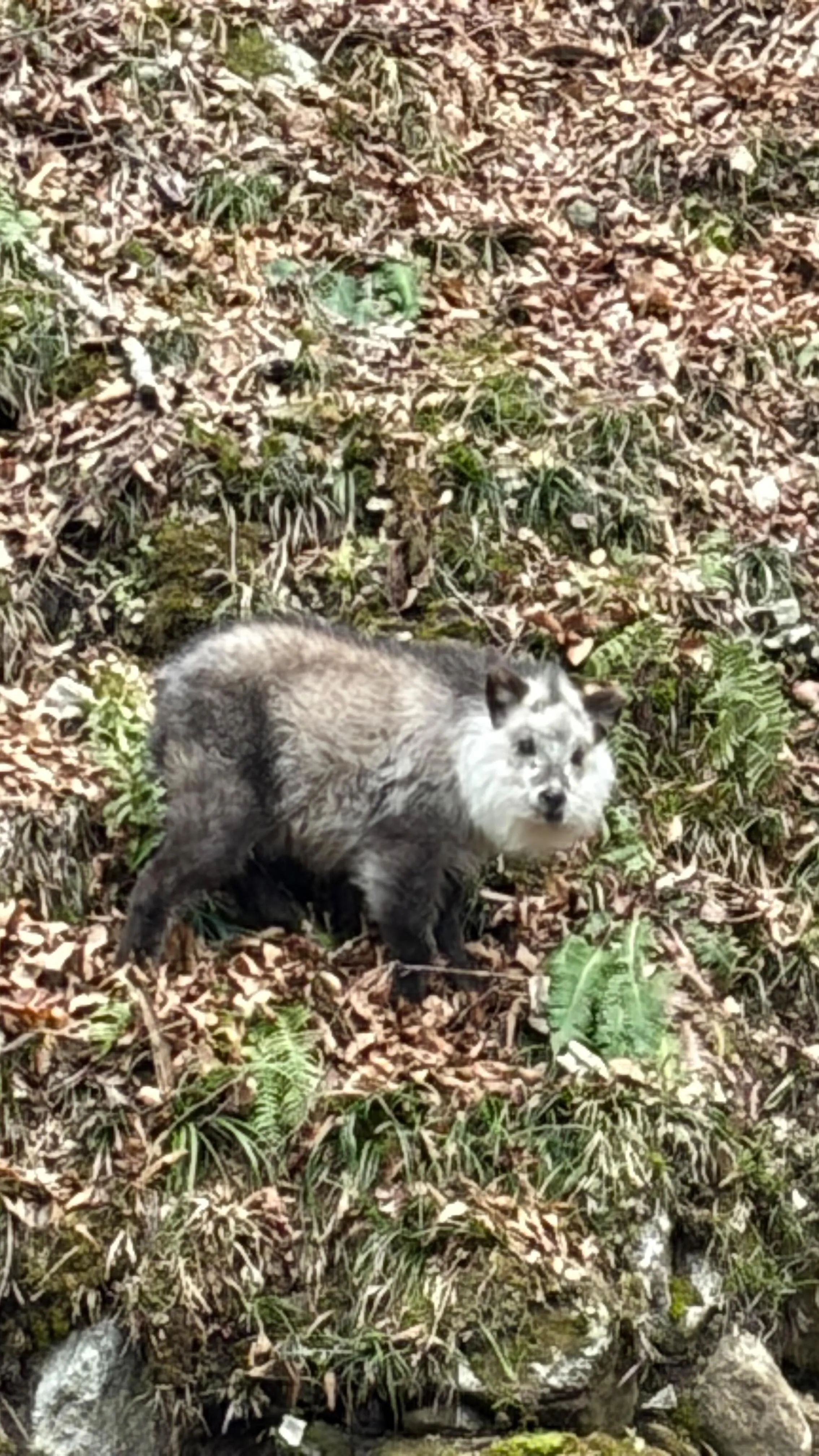 三依渓流つり場オフィシャルブログ「二代目のつぶやき」を...
