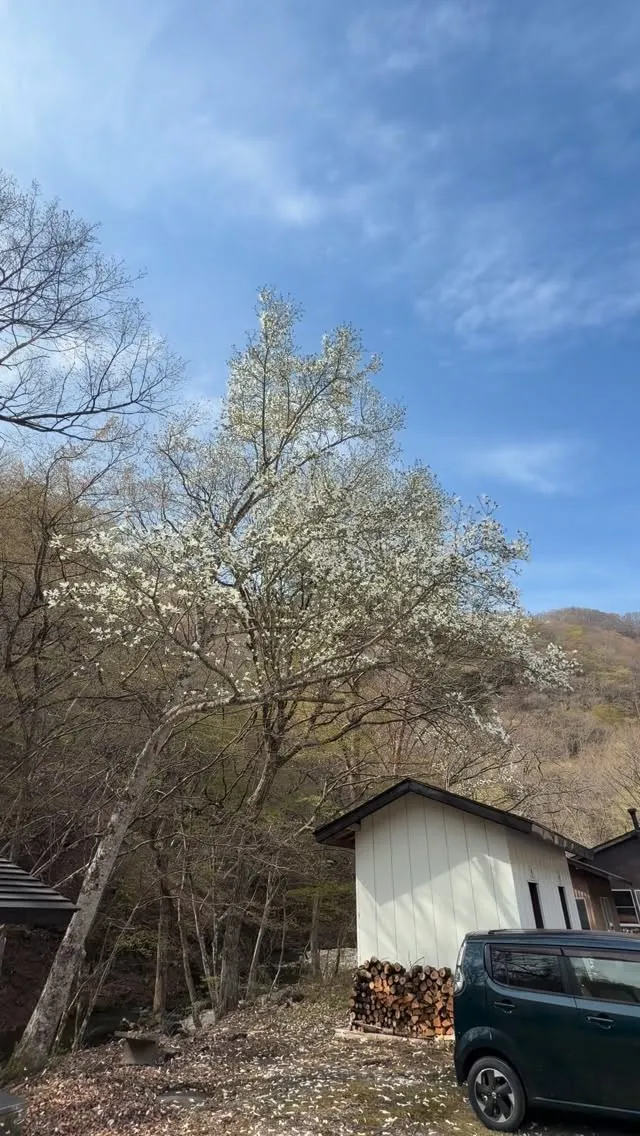 三依渓流つり場オフィシャルブログ「二代目のつぶやき」を...