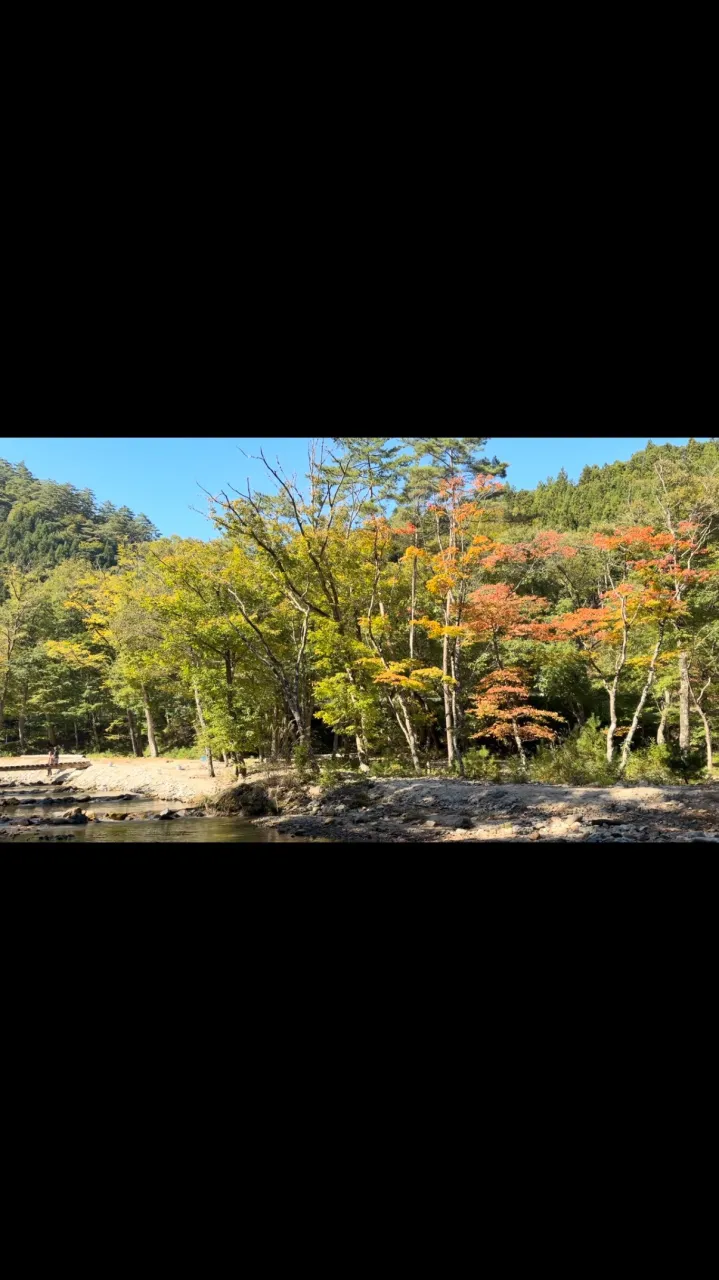 2026年10月10日