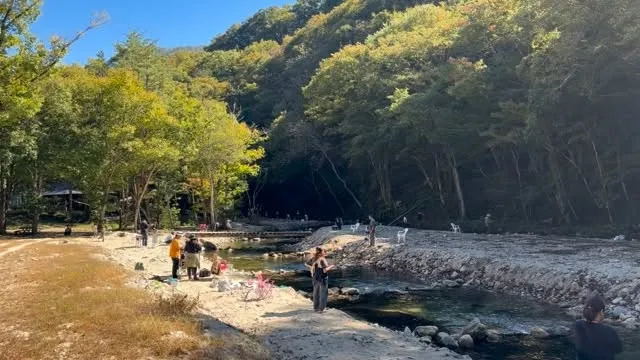 2026年10月11日