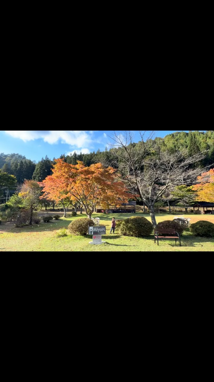 2026年10月18日